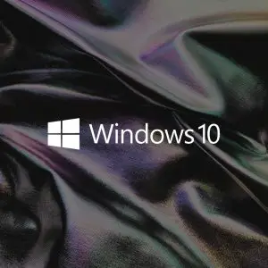Windows 10 / 11 Pro